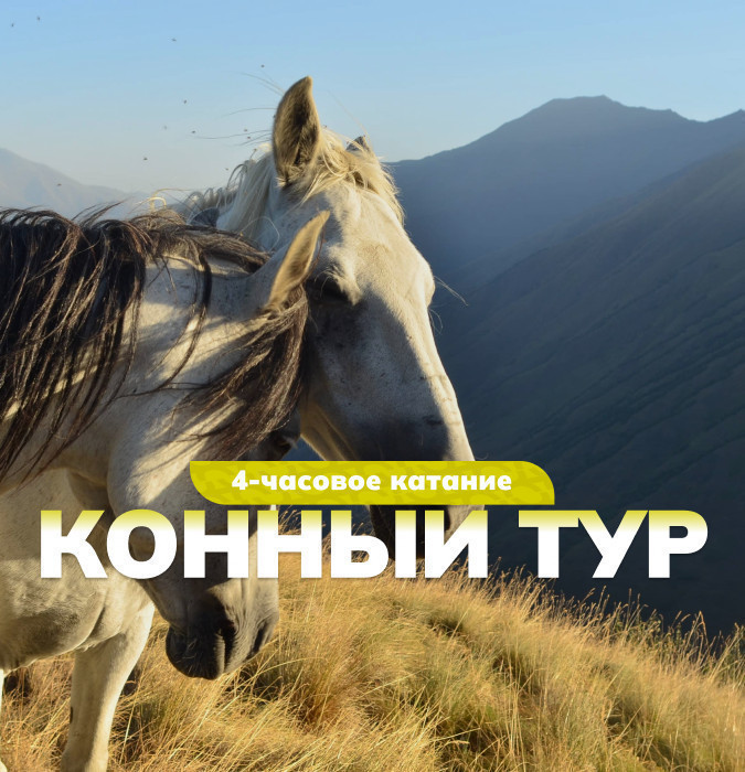 Spring Horseback Riding Tour