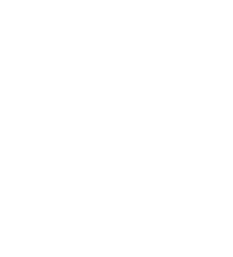 СЕРГЕЙ ЛАЗАРЕВ